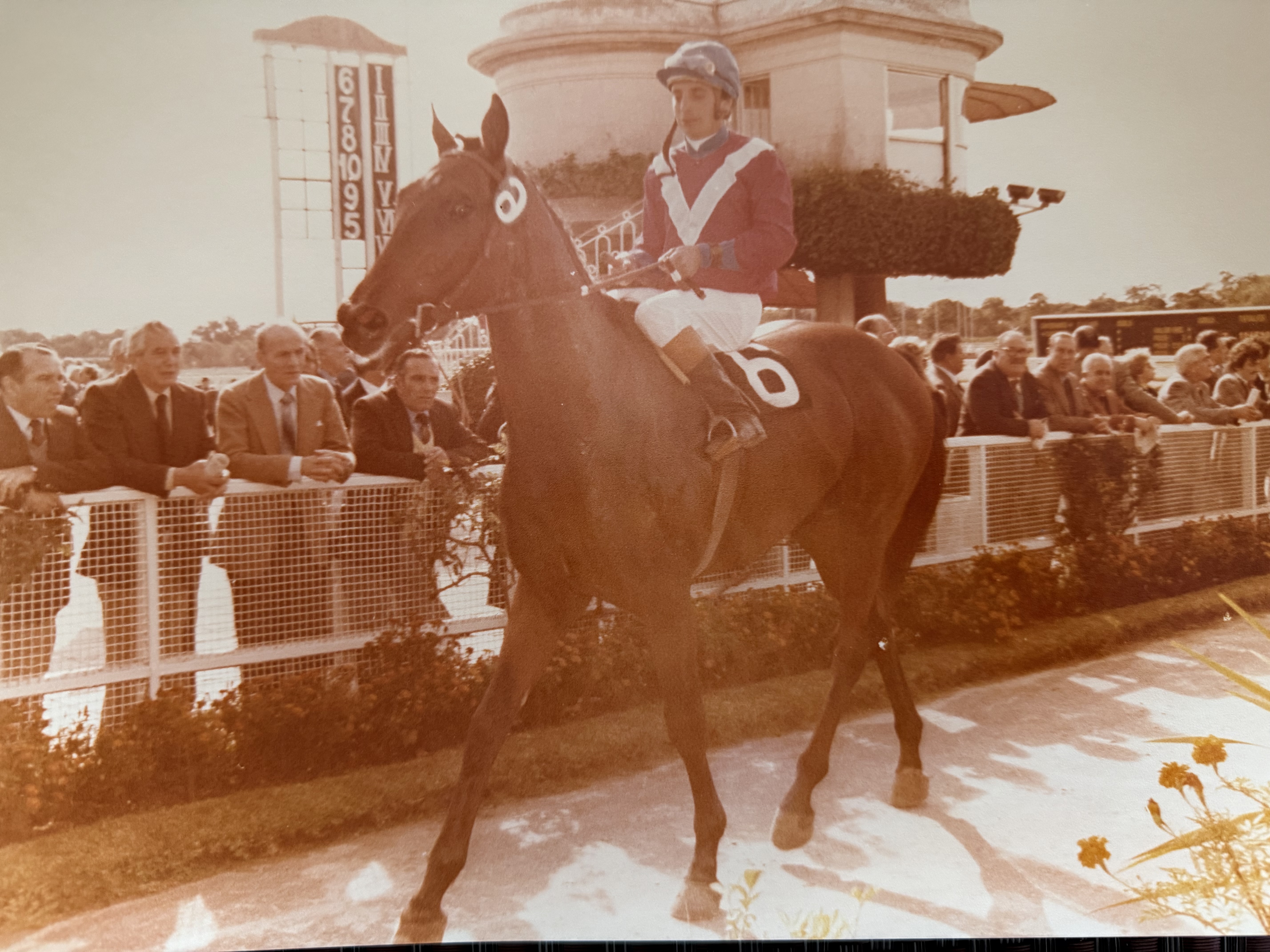 El Conservador — Stud Mano Mora